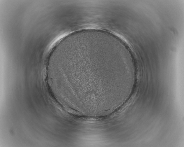 X0000115161359200911101741