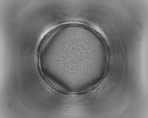 X0000115161360200911101741