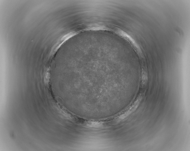X0000115161361200911101741