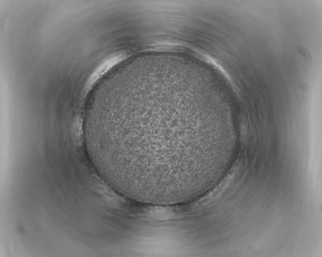 X0000115161362200911101741