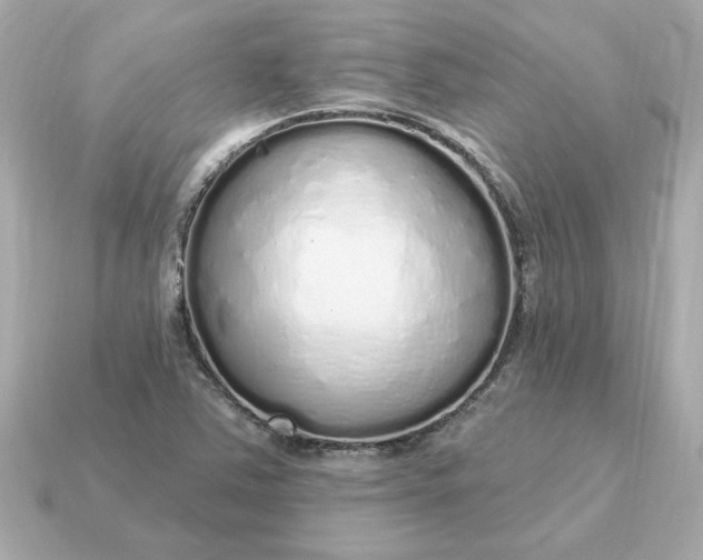 X0000115161363200911101741