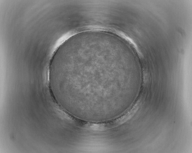 X0000115161365200911101741