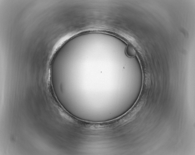 X0000115161366200911101741