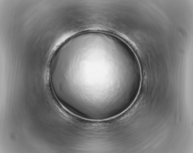 X0000115161367200911101741