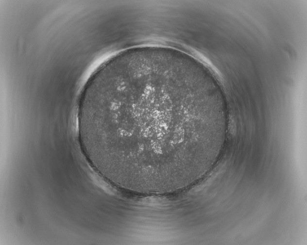 X0000115161368200911101741