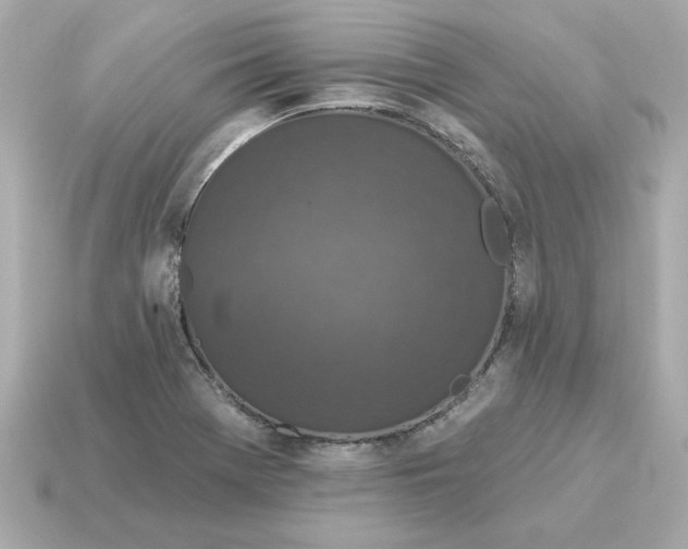 X0000115161369200911101741