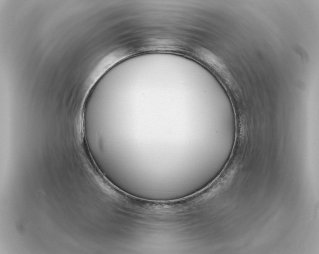 X0000115161370200911101741