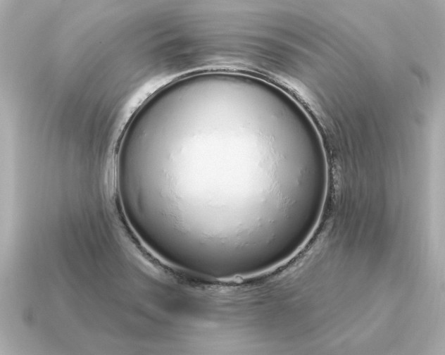 X0000115161371200911101741