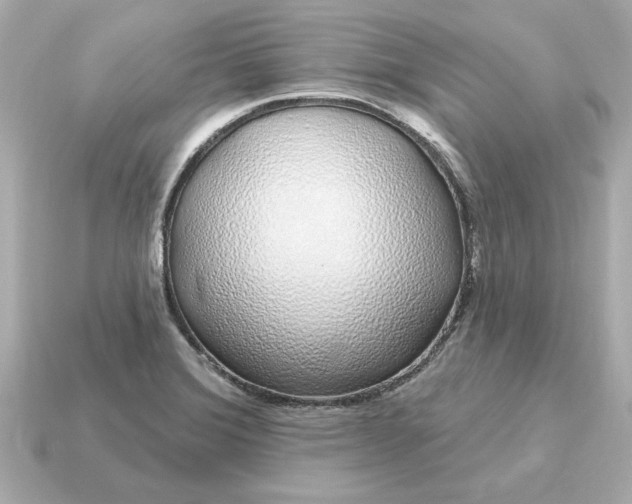 X0000115161372200911101741