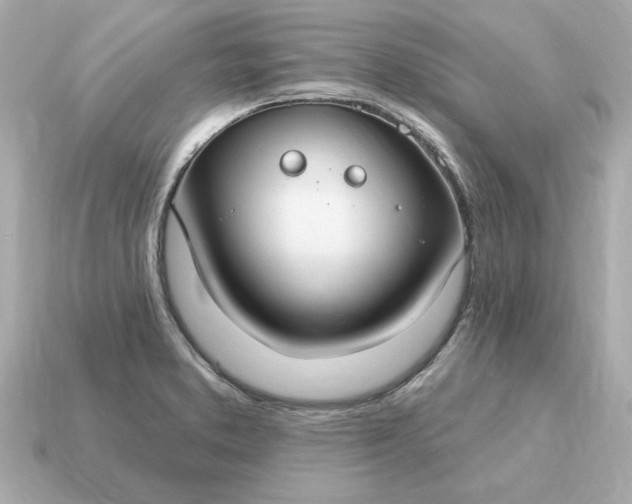 X0000115161373200911101741
