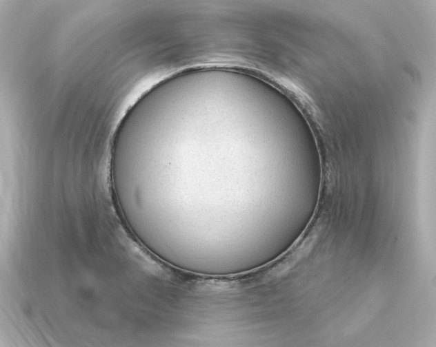 X0000115161374200911101741
