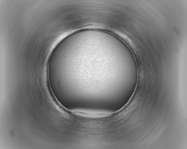 X0000115161375200911101741