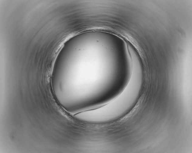 X0000115161377200911101741