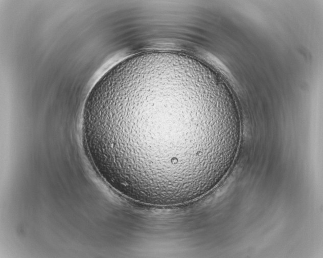 X0000115161378200911101741