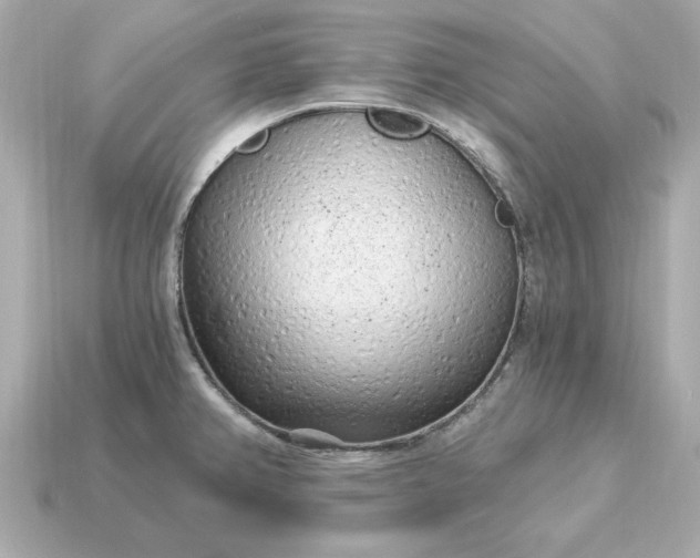 X0000115161382200911101741