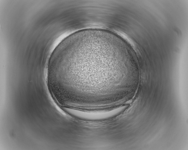 X0000115161383200911101741