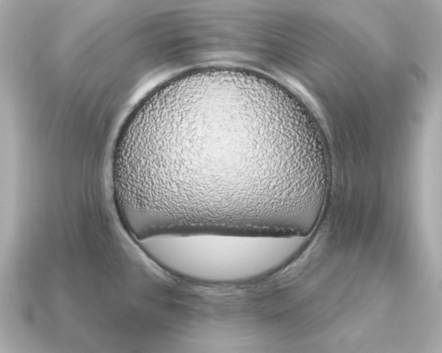 X0000115161384200911101741