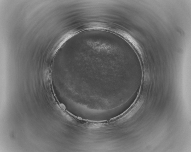 X0000115161385200911101741