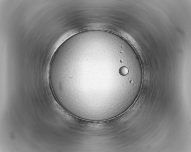X0000115161386200911101741