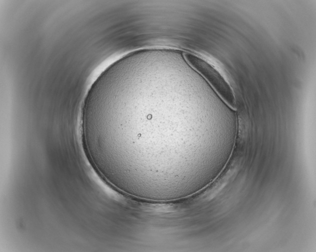 X0000115161387200911101741