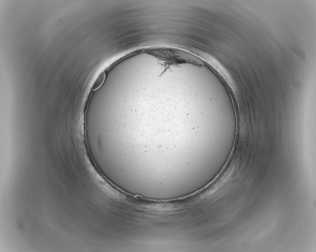 X0000115161388200911101741