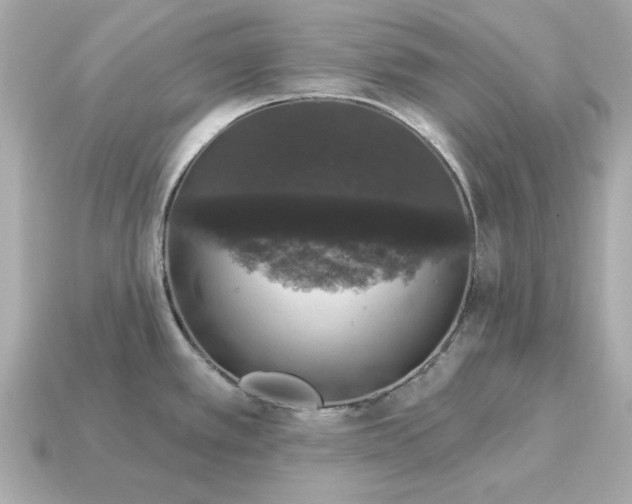 X0000115161389200911101741