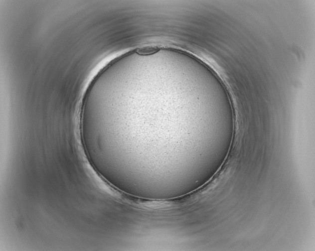 X0000115161392200911101741