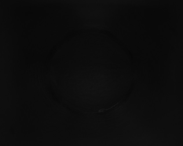 X0000115161396200911101740
