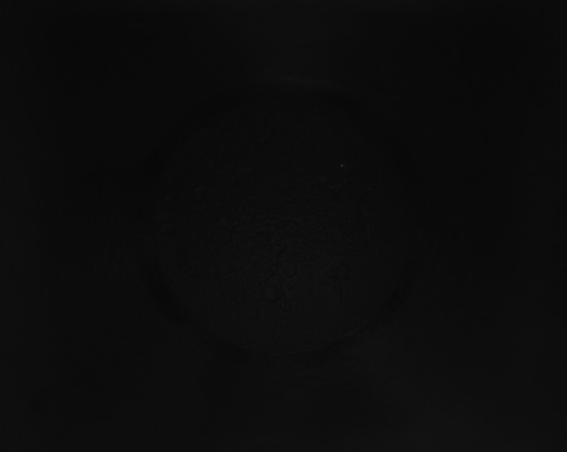 X0000115161397200911101740