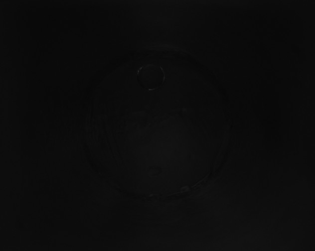 X0000115161398200911101740