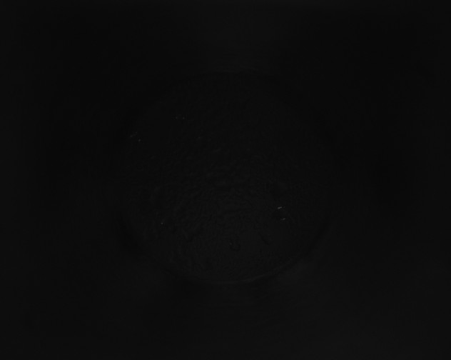 X0000115161401200911101740