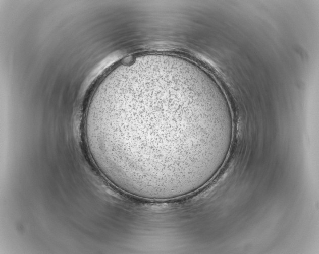 X0000115161410200911101740
