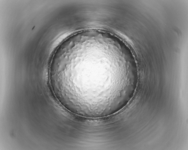 X0000115161415200911101740