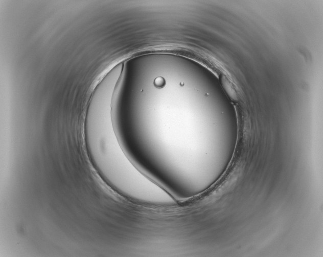 X0000115161417200911101740