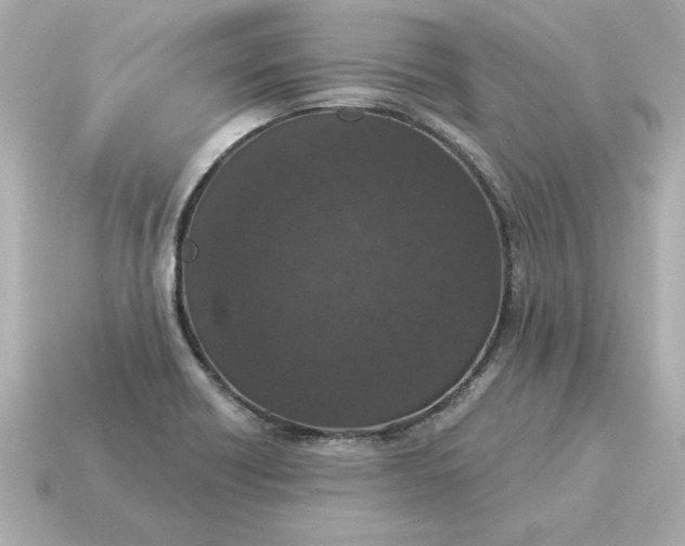 X0000115161418200911101740