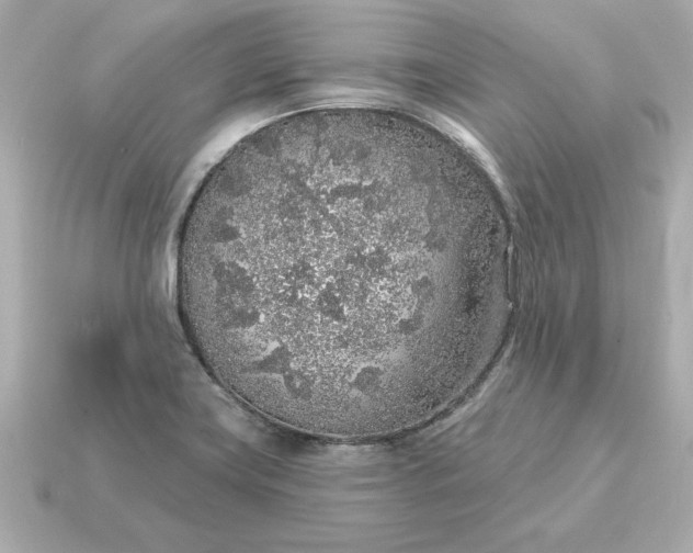 X0000115161419200911101740
