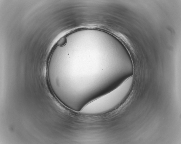 X0000115161420200911101740