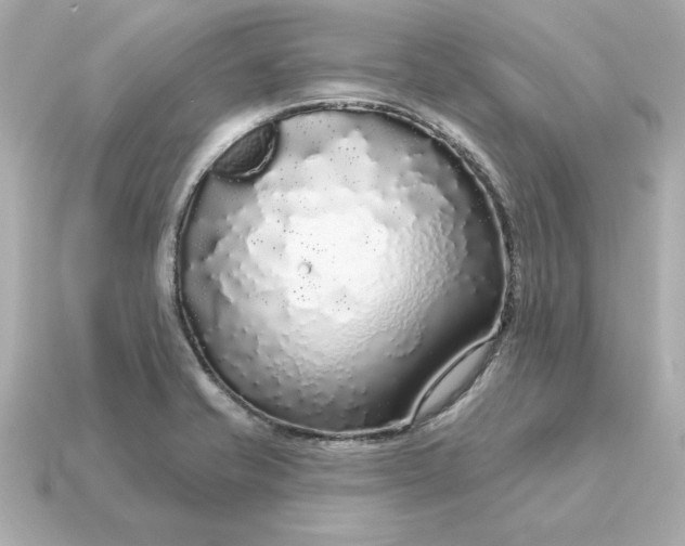 X0000115161421200911101740