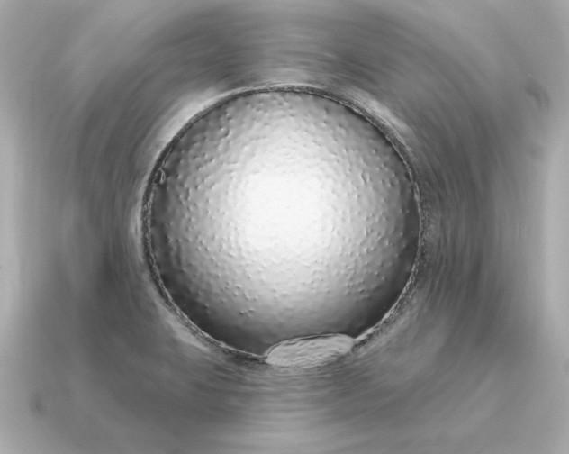X0000115161423200911101740