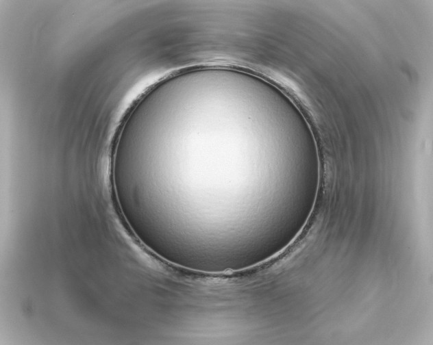 X0000115161424200911101740