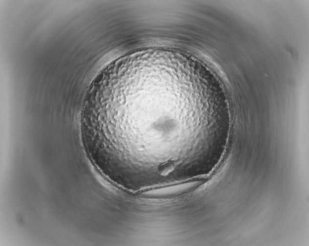 X0000115161425200911101740
