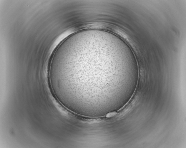 X0000115161426200911101740