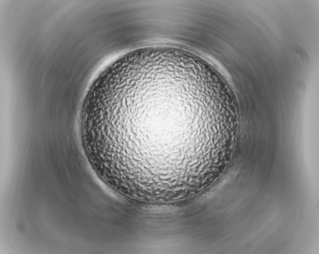 X0000115161429200911101741