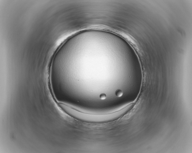 X0000115161430200911101741