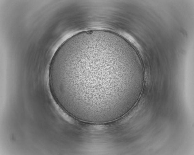X0000115161431200911101741