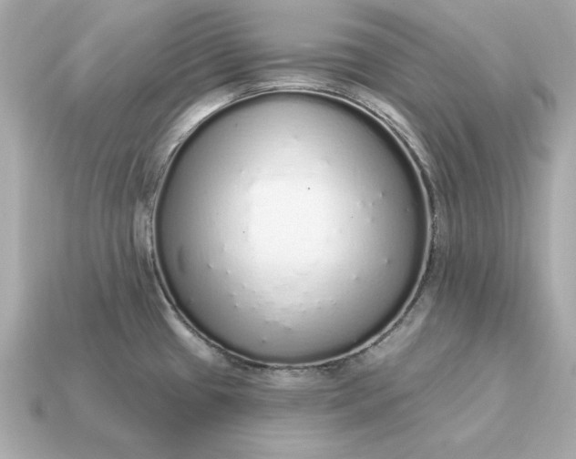 X0000115161433200911101741