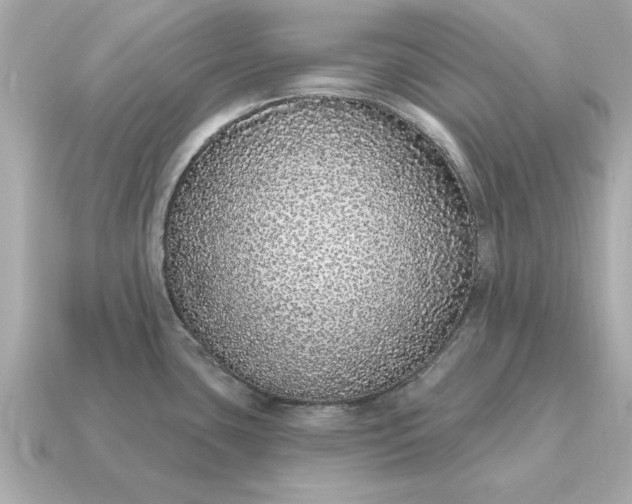X0000115161435200911101741