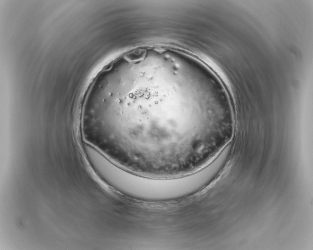 X0000115161437200911101741