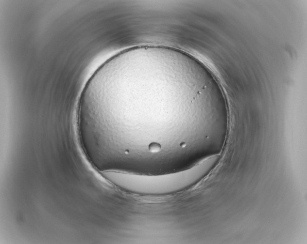 X0000115161440200911101741