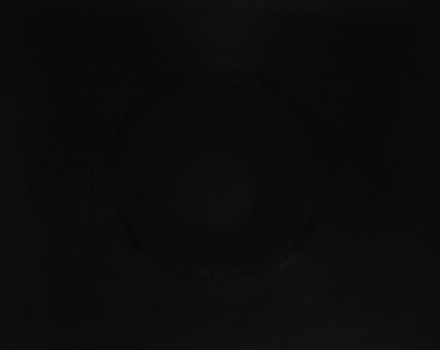 X0000115161445200911101740